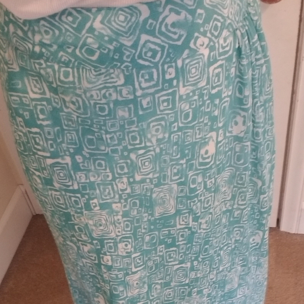 Christopher & Banks Maxi Skirt